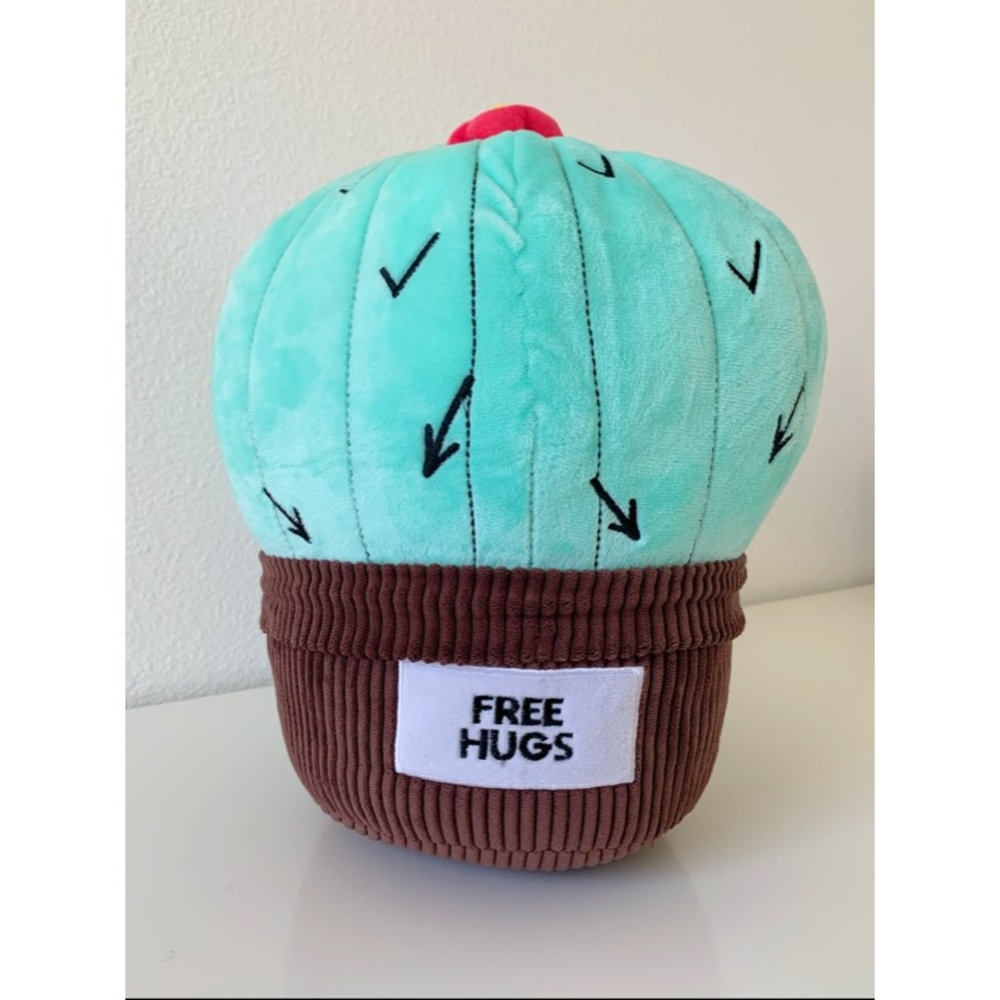 Typo Stuffed Toy (Free Hugs-Cactus)